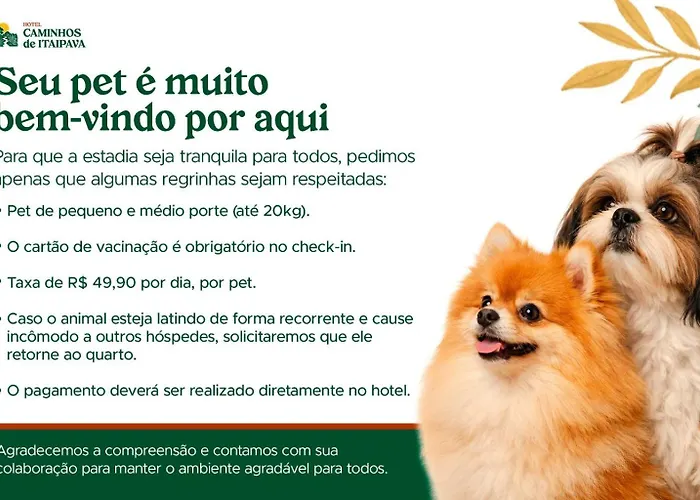 Hotel Caminhos De Itaipava Cascatinha
